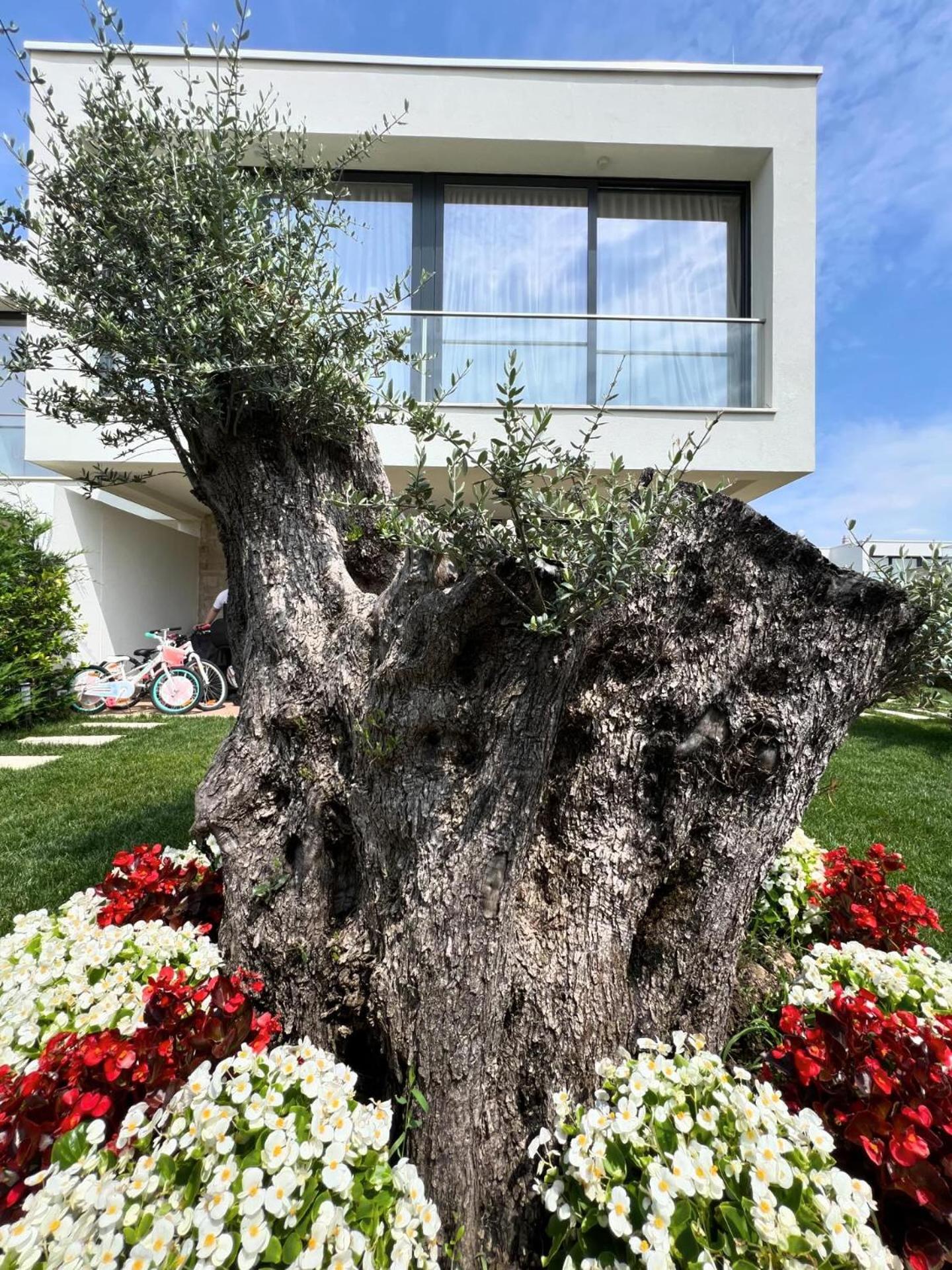San Pietro 2 * Durrës